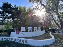 -海棠花溪(元大都城垣遗址公园)
