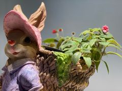 -国家植物园南园