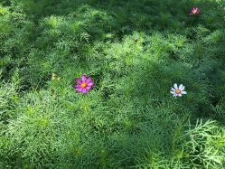 -Hair Co.一间沙龙