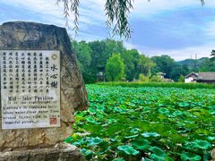 -承德避暑山庄景区
