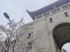 -武汉大学-樱园