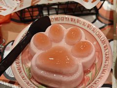 -猫爪爪原切自助烤肉(观音桥阳光世纪店)