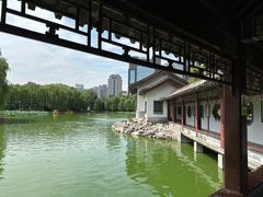-团结湖公园