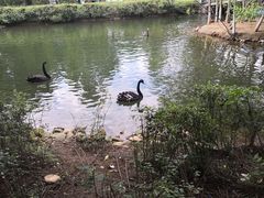 -长白岛森林公园