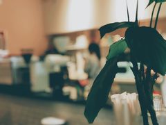 -双风车咖啡馆 Twin Windmills(六道口店)