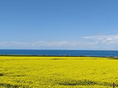 -青海湖二郎剑景区