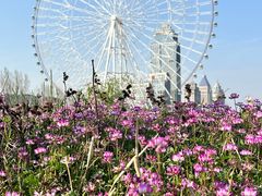 -南昌之星摩天轮