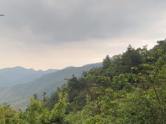 -四明山国家森林公园