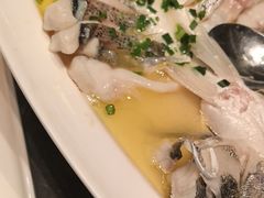 -同庆楼(滨湖万达广场店)