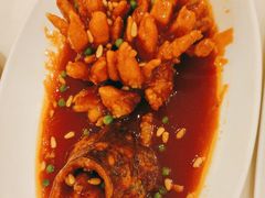 松鼠桂鱼-金时代顺风大酒店(金山店)