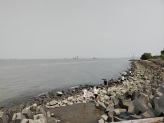 -上海滨江森林公园