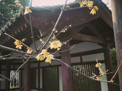 -西安青龙寺遗址景区