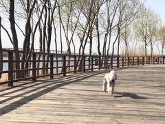 -绿堤公园