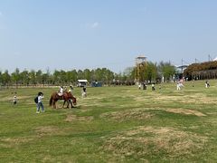 -武汉紫薇都市田园