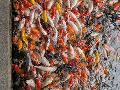 -番禺宾馆丽苑厅