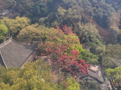 -盆满钵满·国家非遗传承(云台店)