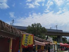 -秀丽东方