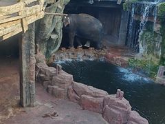 -长鹿旅游休博园
