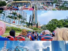 -Big Bus Tours 敞篷观光巴士