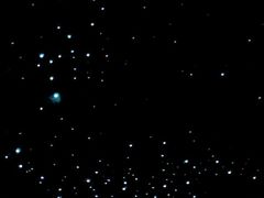 -怀托摩萤火虫洞