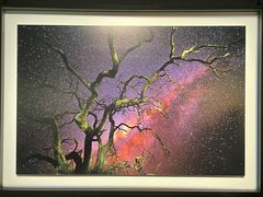 -罗红摄影艺术馆