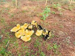 -Club Med地中海俱乐部·桂林度假村