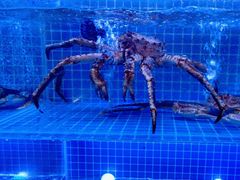 -启东小海鲜(庄先湾路1号店)