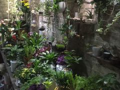 -小洲村