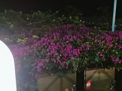 -渔家火锅·海鲜自助餐·演艺(亚龙湾天域酒店)