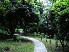 -燕晗山郊野公园