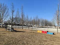 -北京群众马术培训基地