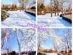 -北京亚布洛尼朝阳公园滑雪场