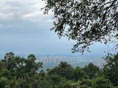 -大蜀山国家森林公园