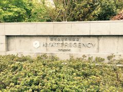 -上海崇明金茂凯悦酒店