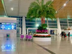 -厦门高崎国际机场-T3航站楼
