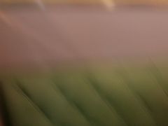 -花儿穆萨·烤肉餐厅(石马坪店)