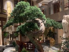 -顺峰(农展馆店)