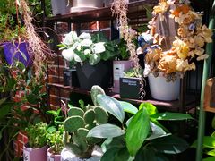 -花样年华花艺生活馆(恒泉花园店)