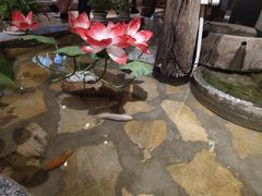 -东巴人鱼豆花火锅(幸福街店)