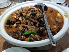 -龙小海荆沙鸽子店(瑞安街店)