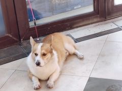 -万科美好广场