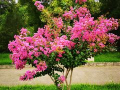 -北京十三陵国家森林公园蟒山景区