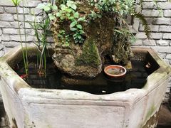 -鱼桥巷·美学川菜