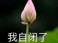 -梁子刨冰王(鞍山西道店)