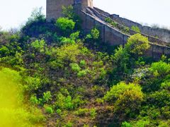-蟠龙山长城景区