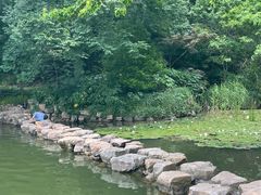 -紫霞湖公园