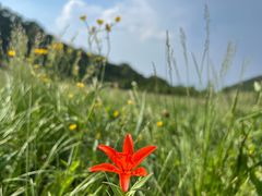 -白草畔自然风景区