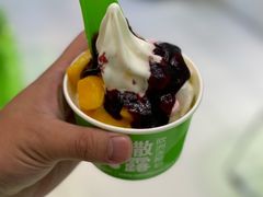 -Salud撒露欧洲冻酸奶(蓝色港湾店)