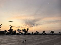 -东港音乐喷泉广场