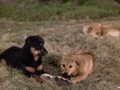 -上海浦东软件园祖冲之园-停车场